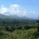 Dominica