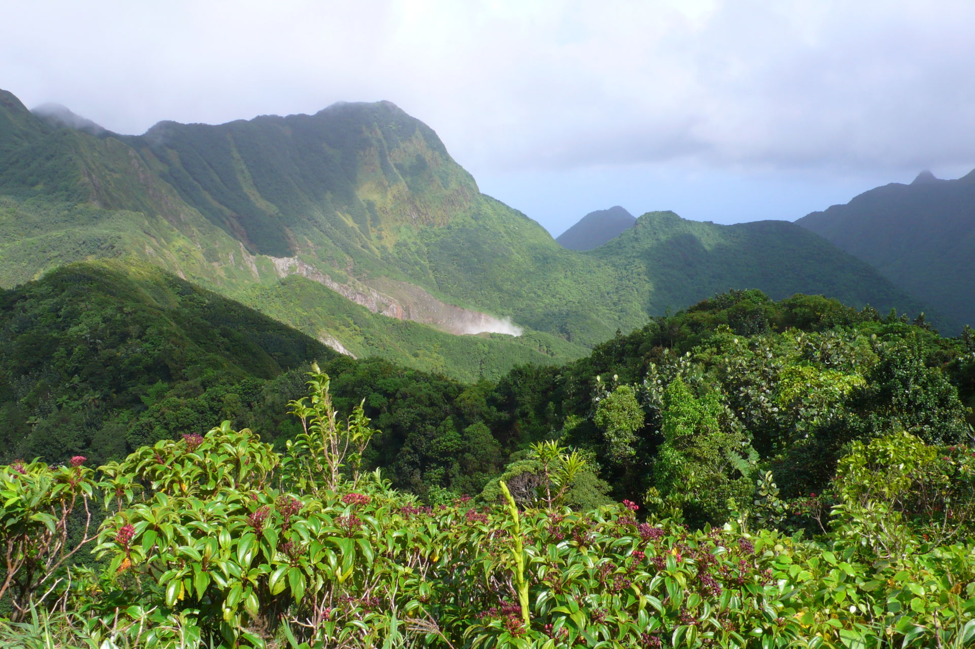 Wanderung auf Dominica